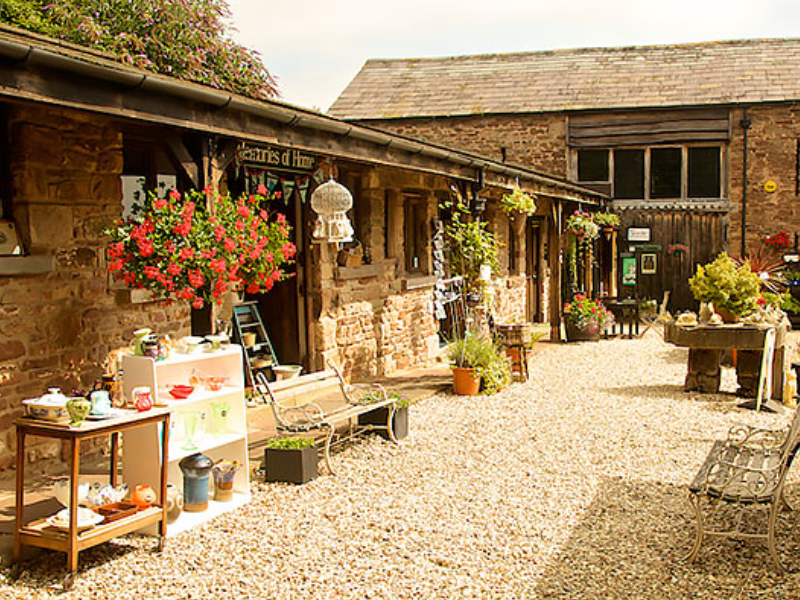 Independent Shopping in the Forest of Dean